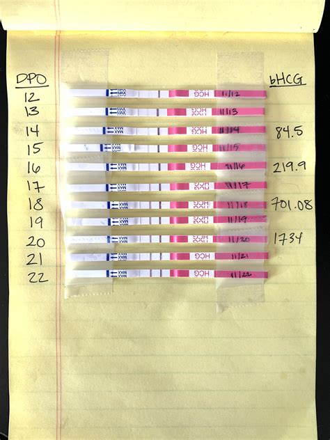 If I were you I would wait 2-3 more days then test again cuz it takes 48-72 hours for your HCG levels to double. . Hcg 12 dpo